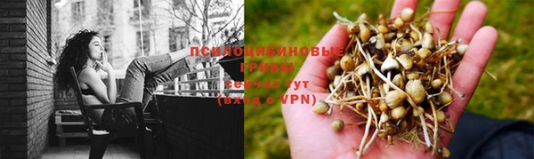 спайс Алзамай