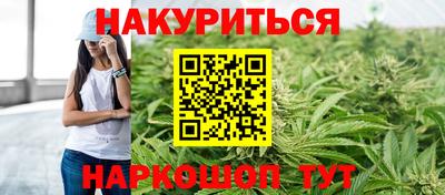 прущие грибы Братск